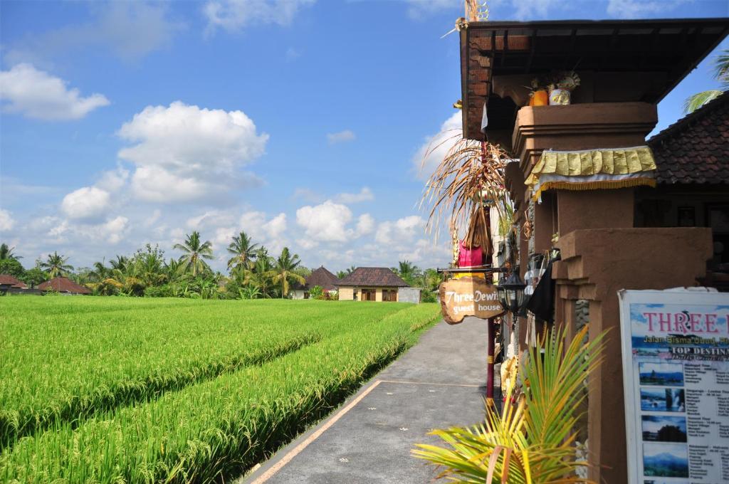 Three Dewi'S Guest House Ubud Extérieur photo